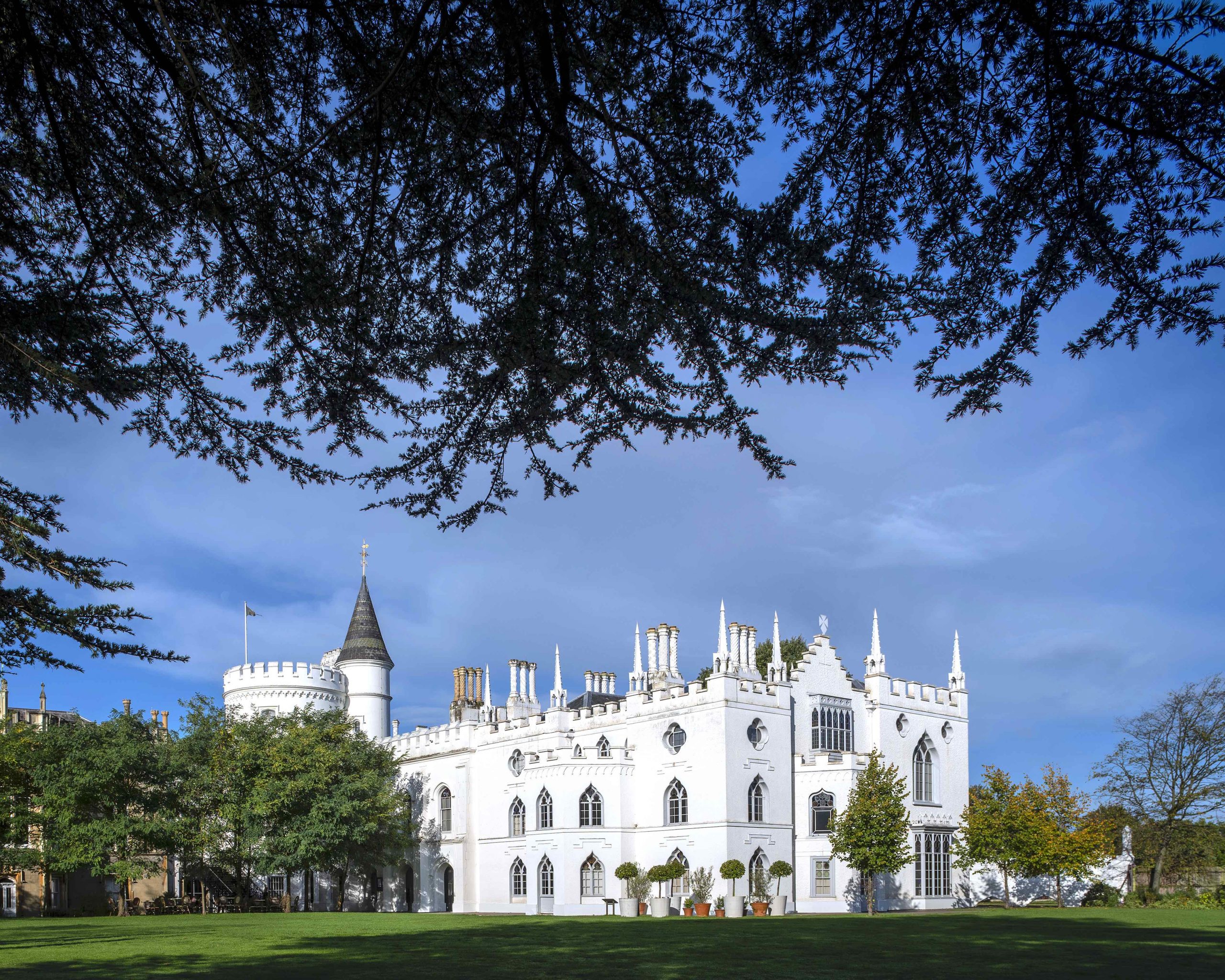 strawberry hill strawberry hill