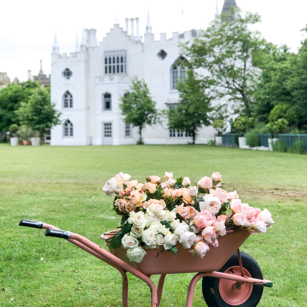 Celebrate Mothers Day at Strawberry Hill - Image