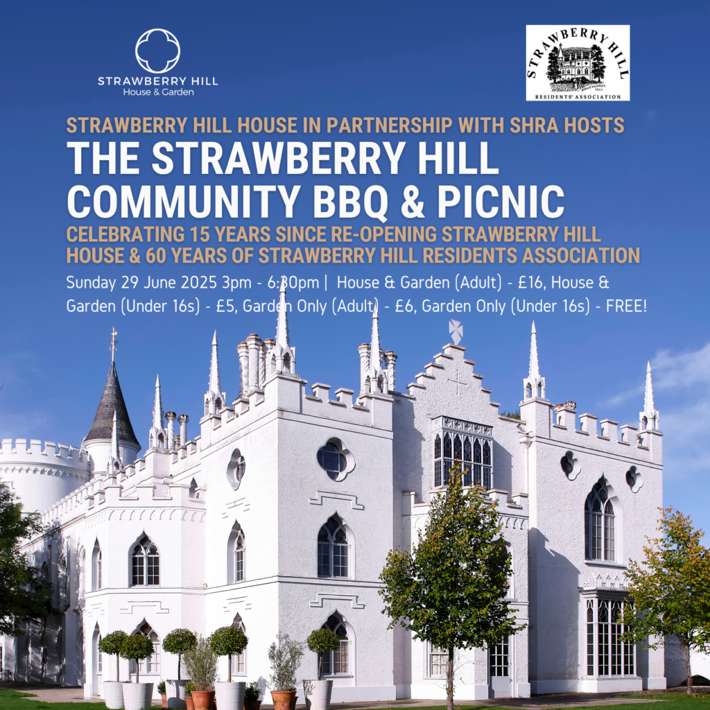 The Strawberry Hill Community BBQ and Picnic - Image