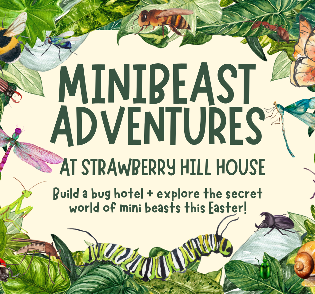 MiniBeast Adventures with Habitats & Heritage - Image