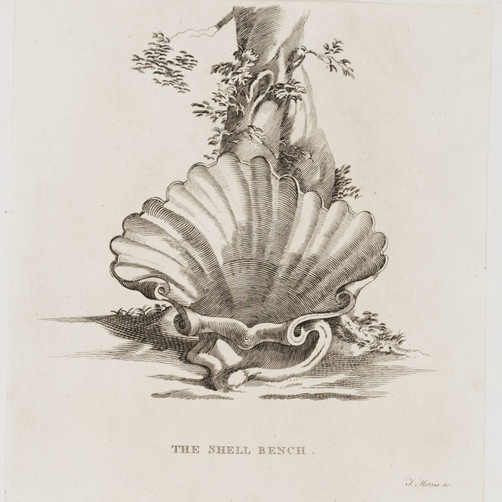 Shell Seat Appeal - Image